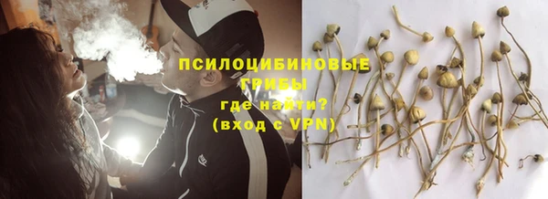 спиды Богданович