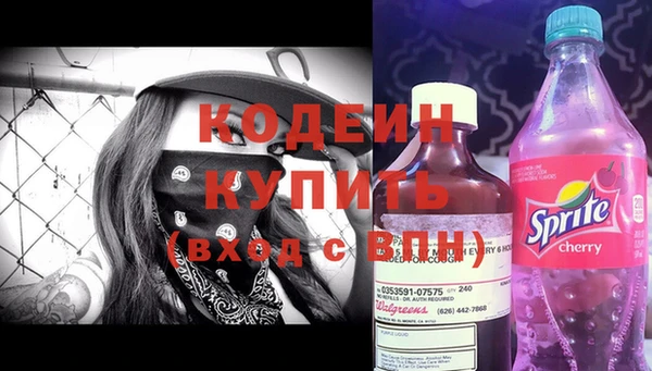 спиды Богданович