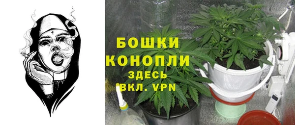 спиды Богданович