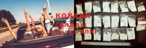 спиды Богданович
